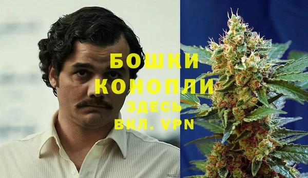 амф Алзамай