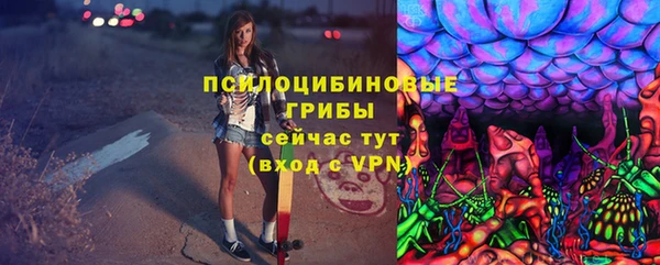 амф Алзамай