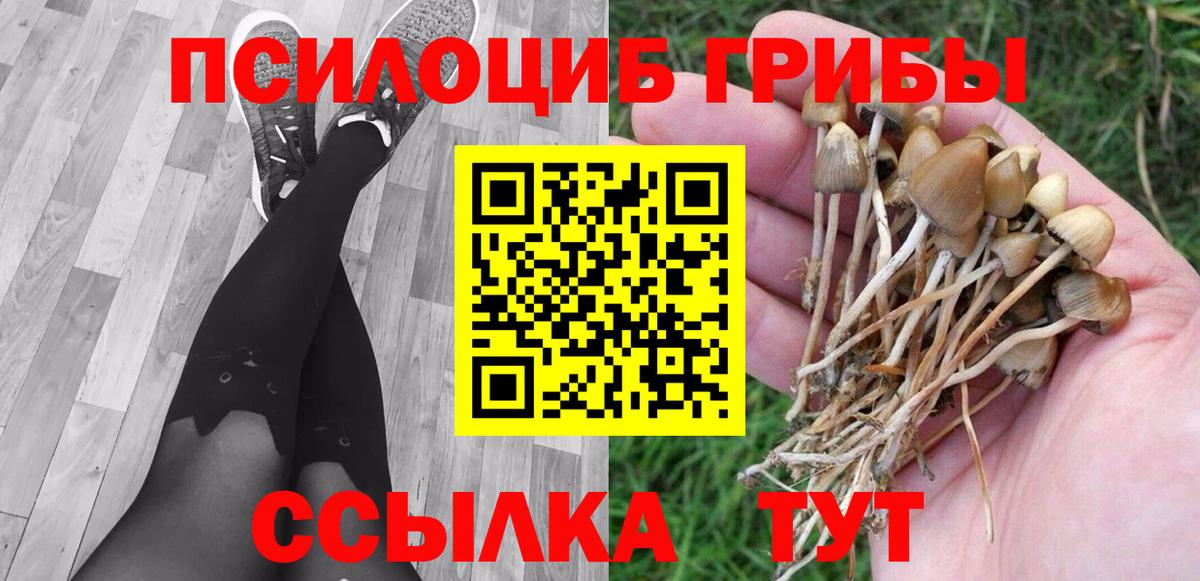 Алексеевка  что такое наркотик  Вход с VPN  Галлюциногенные грибы мухоморы 