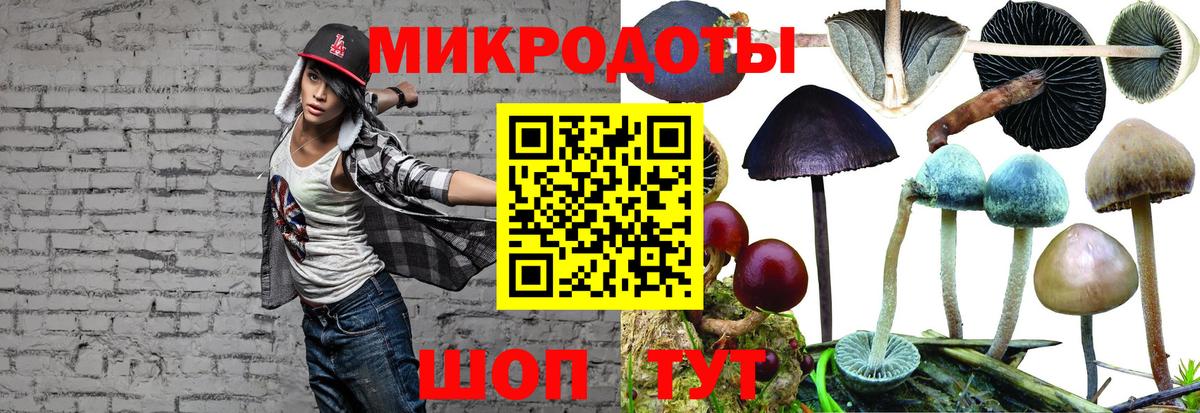 Псилоцибиновые грибы MAGIC MUSHROOMS Алексеевка